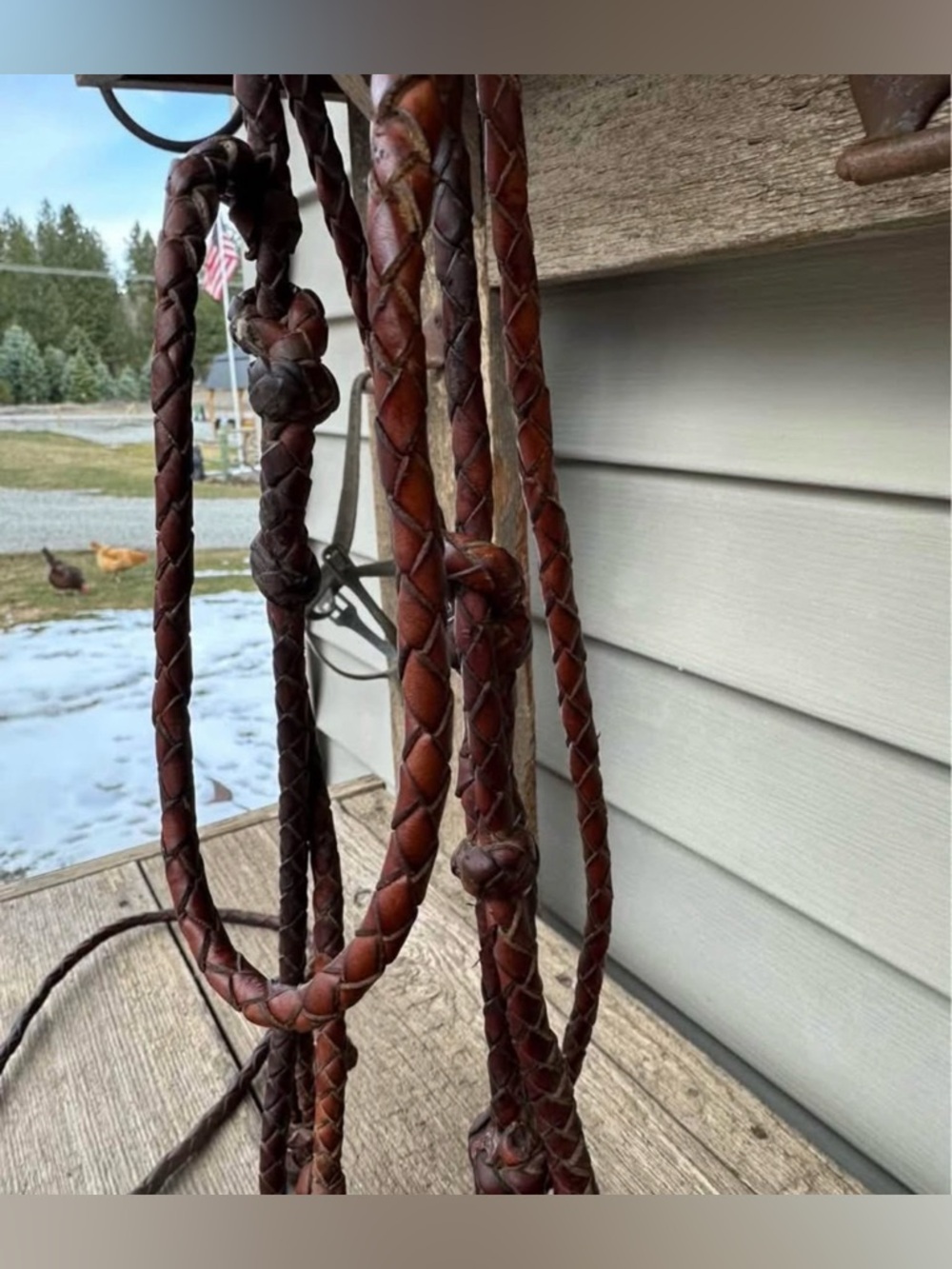 Horse Tack - Hand braided leather headstall with matching split reins - Picture 9 of 9